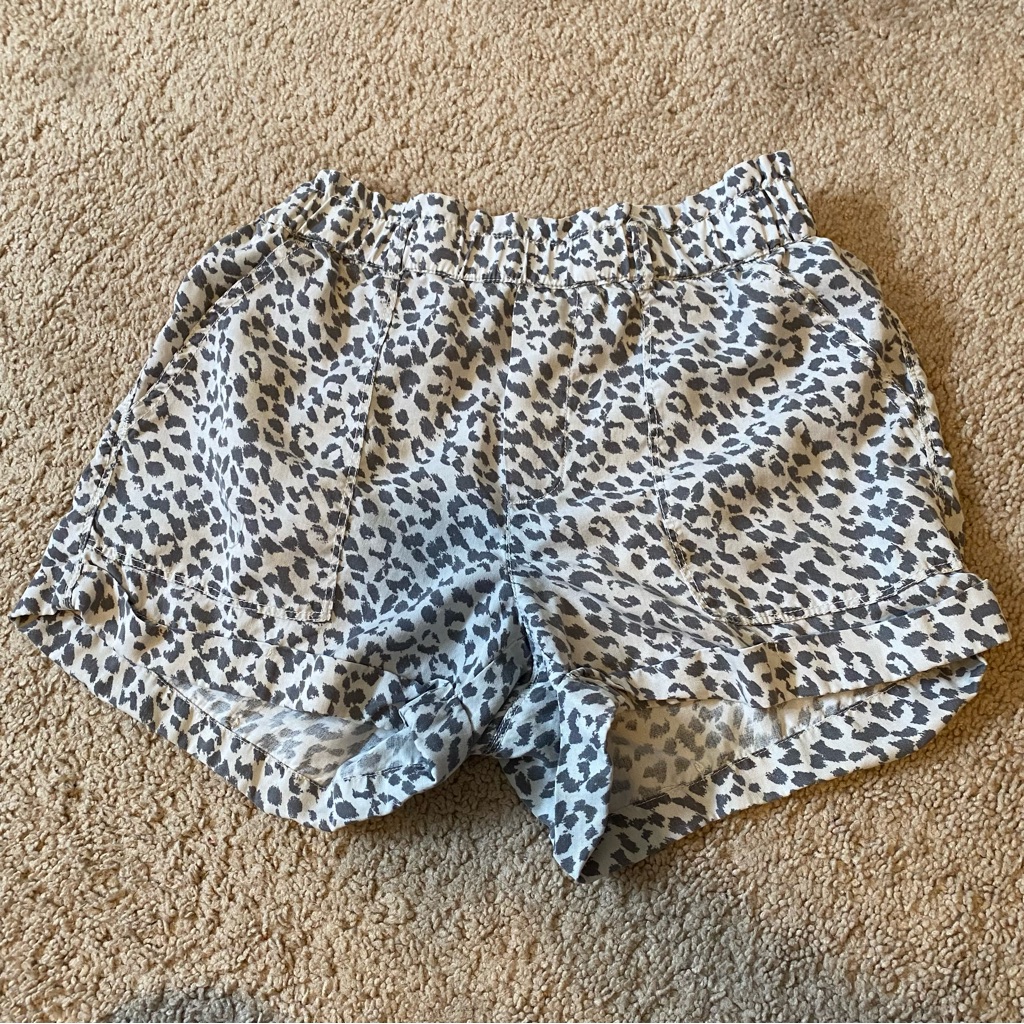 Aeire Cheetah Print Shorts